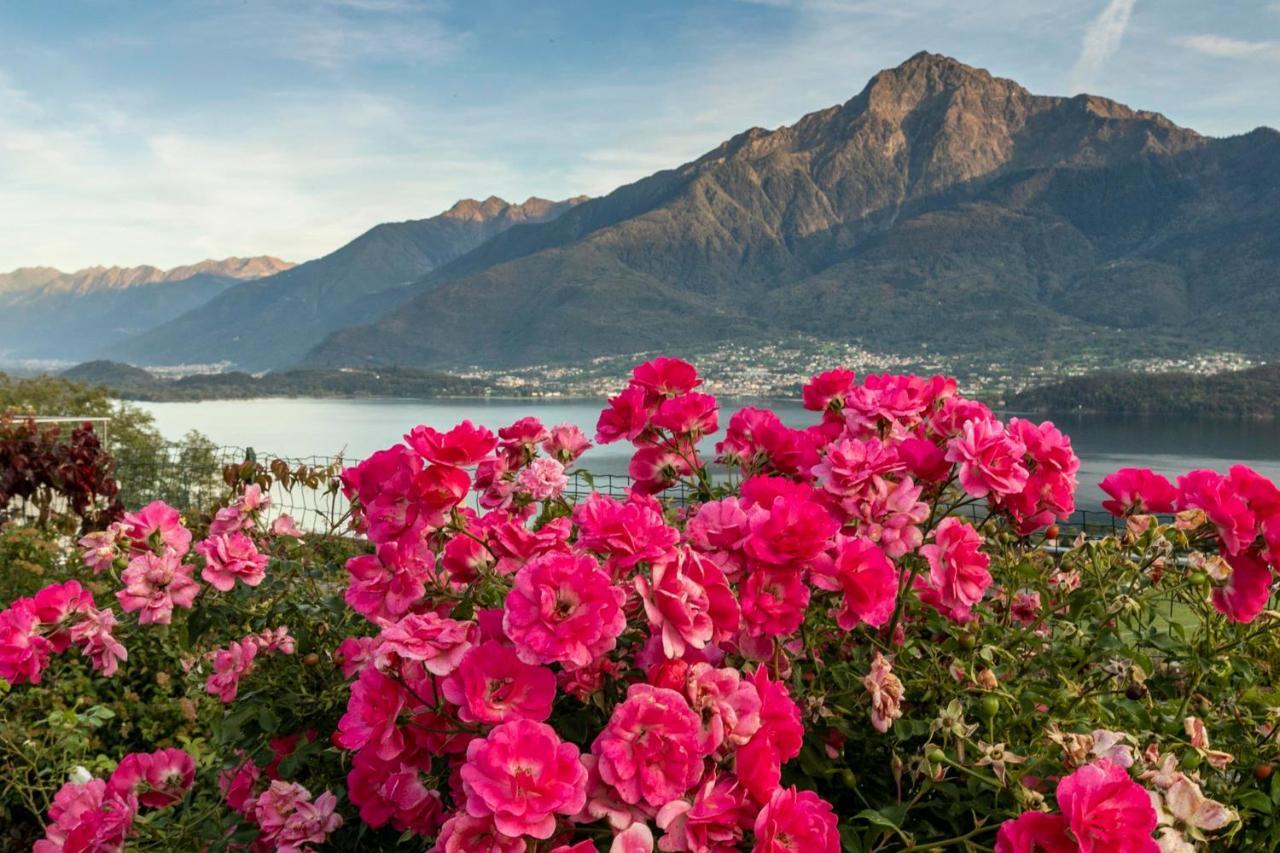 La Collina Dei Fiori Leilighet Vercana Eksteriør bilde